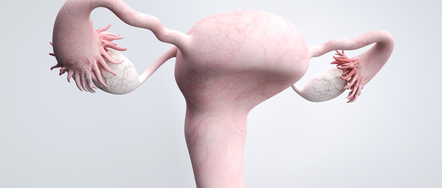 多囊卵巢的病因患上多囊后会出现哪些信号？
