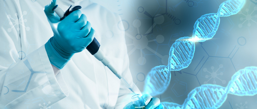 宫腔镜检查是辅助生殖诊断宫腔异常的金标准