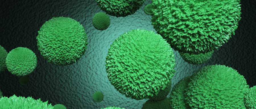 益生菌菌种：肠道健康的“精兵”选择