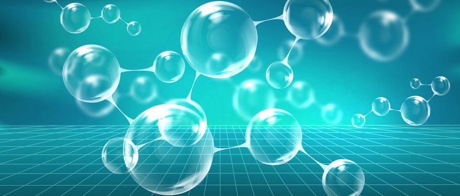 AKK益生菌：黏液层的健康守护者