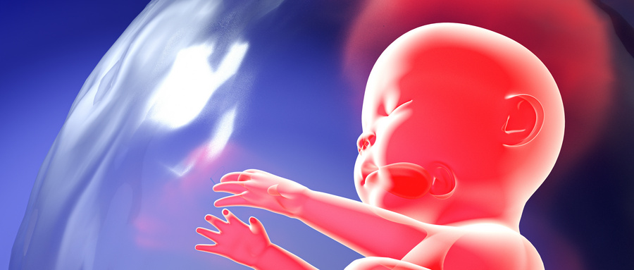 试管婴儿之取卵过程：详解生命的起源之旅