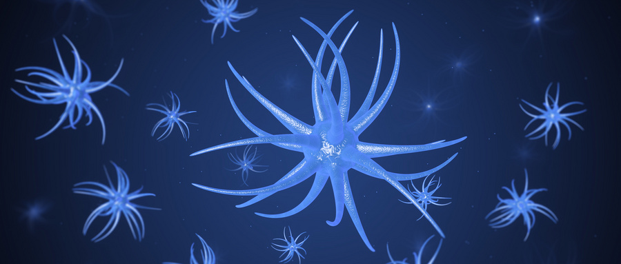 隐性基因遗传：藏在血脉中的“沉默密码”