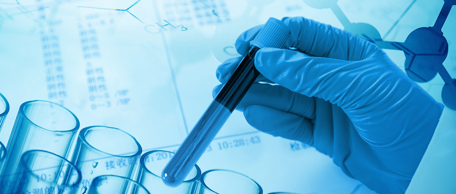 人体营养素：生命健康的隐形守护者