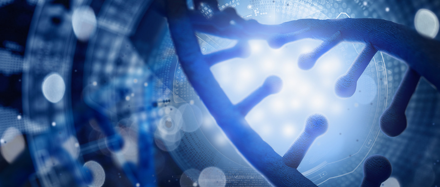 PM营养素：现代人健康的隐形护盾