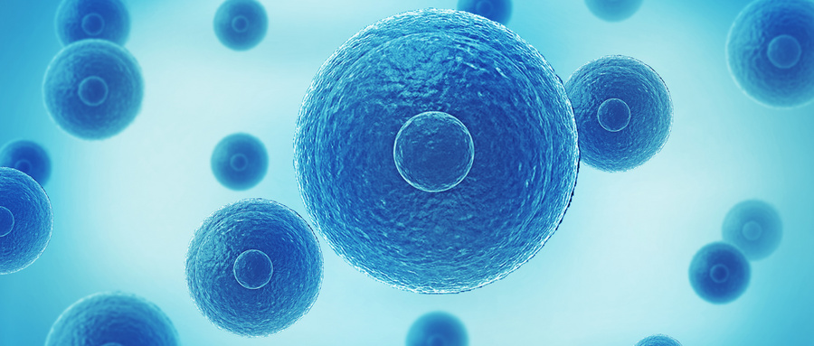 醣质营养素：解锁细胞活力的天然密码